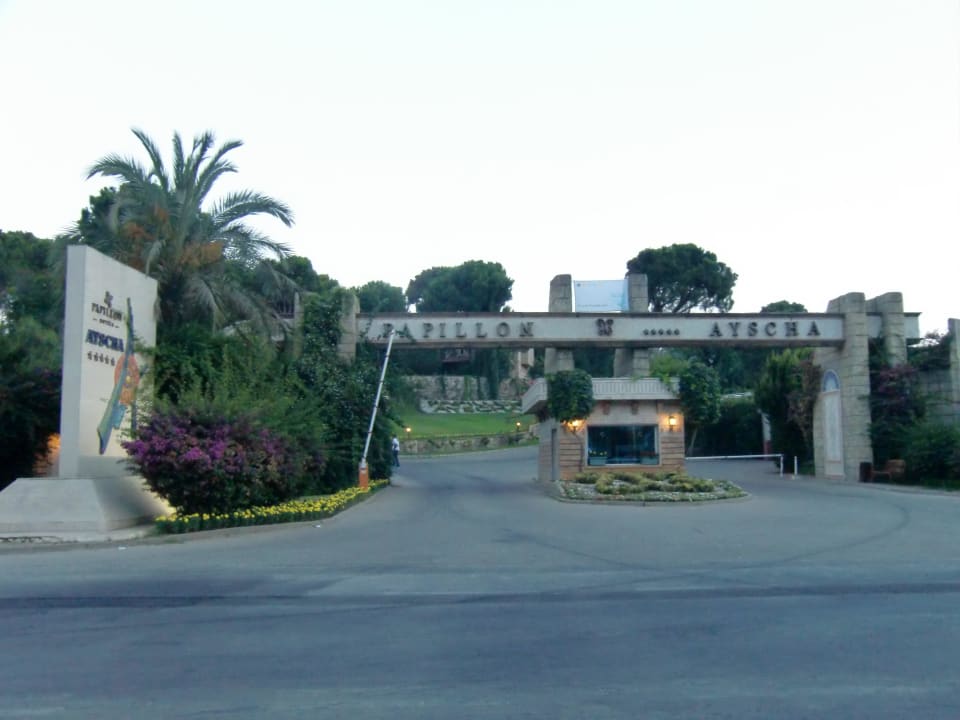 Die Einfahrt Papillon Ayscha