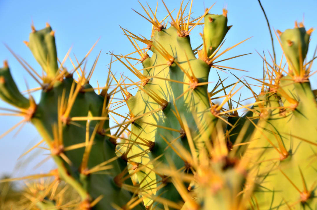 Auć - ostre TUI MAGIC LIFE Penelope Beach