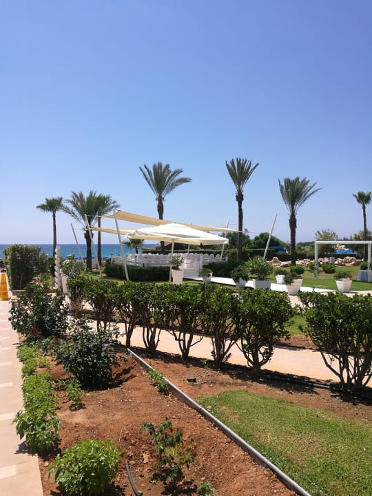 Gartenanlage Asterias Beach