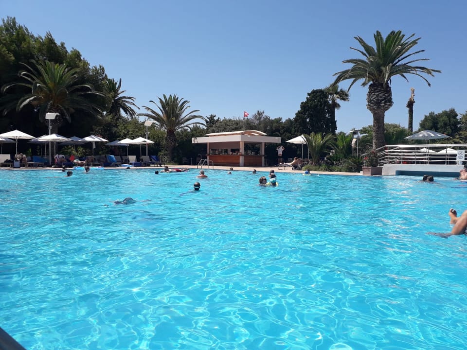 Pool Caravia Beach Hotel