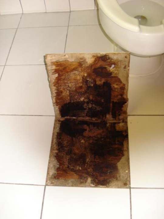 Unter den Bodenplatten Floridian Express International Drive