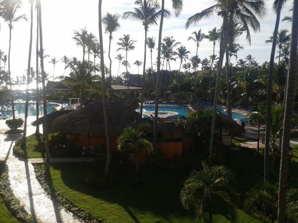 Blick vom Balkon auf die Poolanlage und Garten Vik Hotel Arena Blanca & Cayena Beach