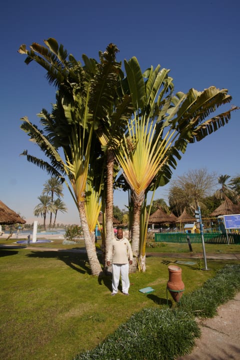 Gartenanlage Jolie Ville Kings Island Luxor