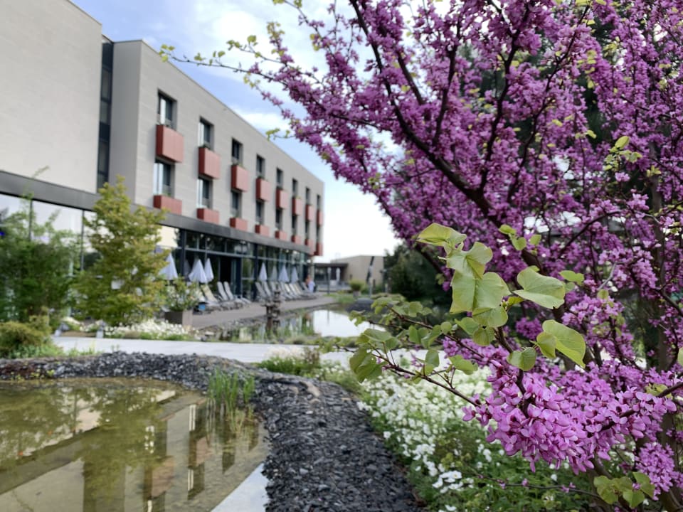 Gartenanlage Linsberg Asia Hotel & Spa