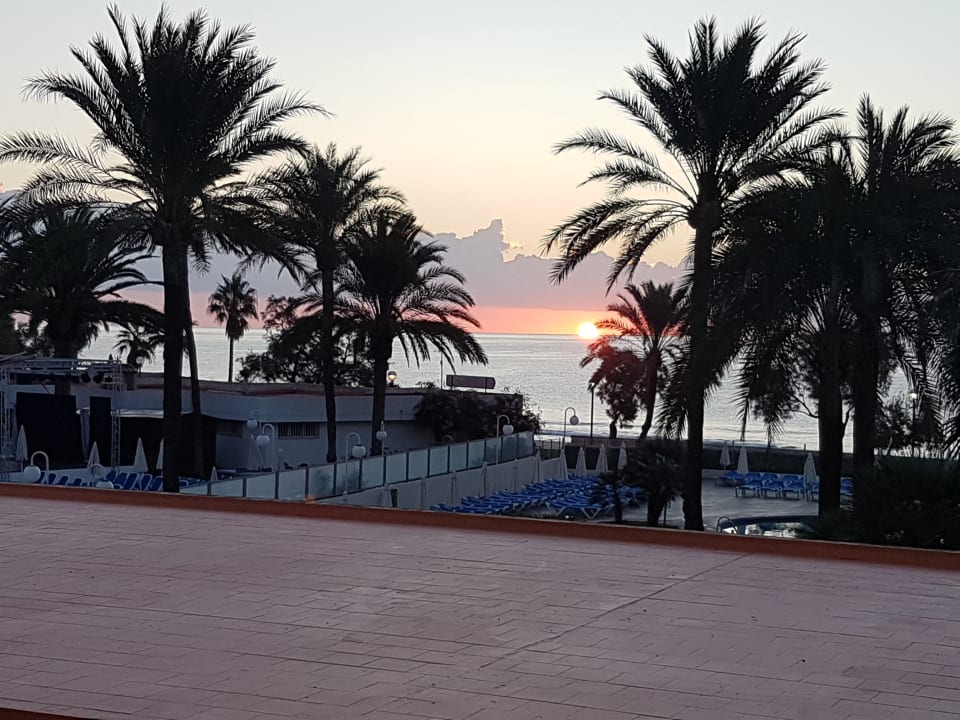 Ausblick Aparthotel Playa Dorada
