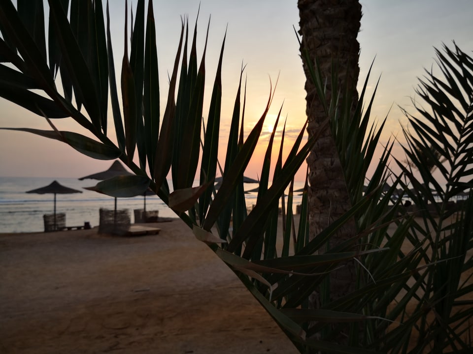 Ausblick Three Corners Sea Beach Resort