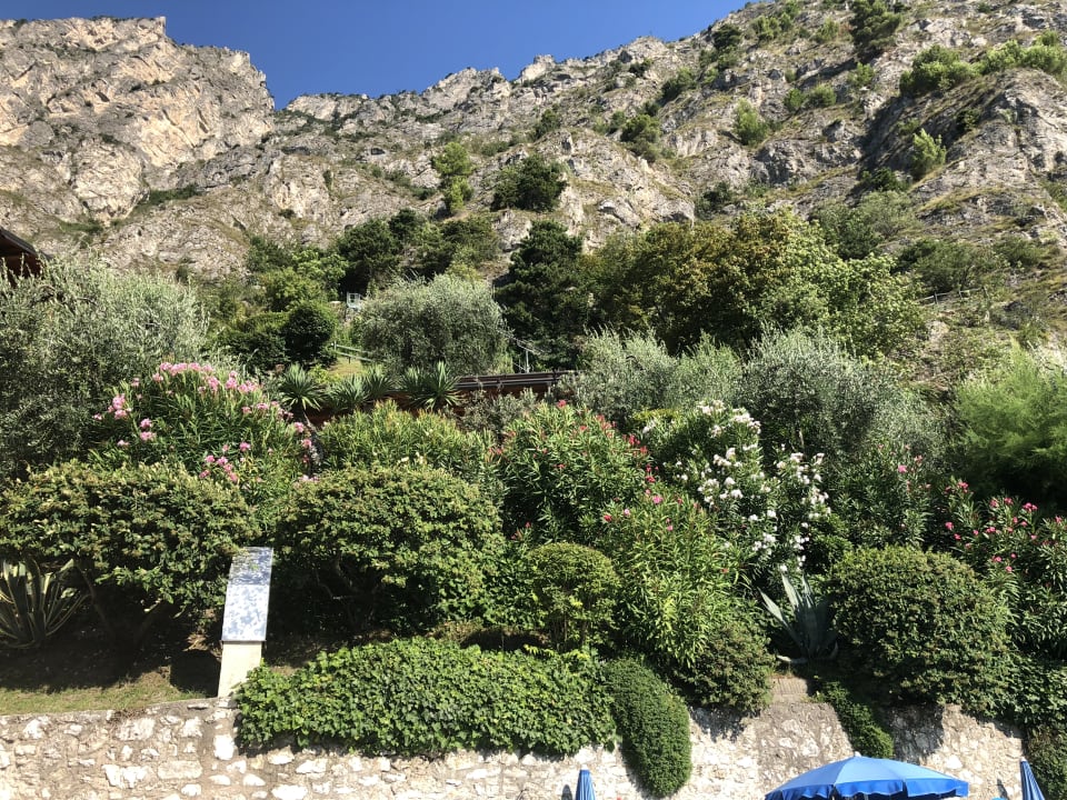 Gartenanlage Relax Hotel Villa La Gardenia & Oleandra