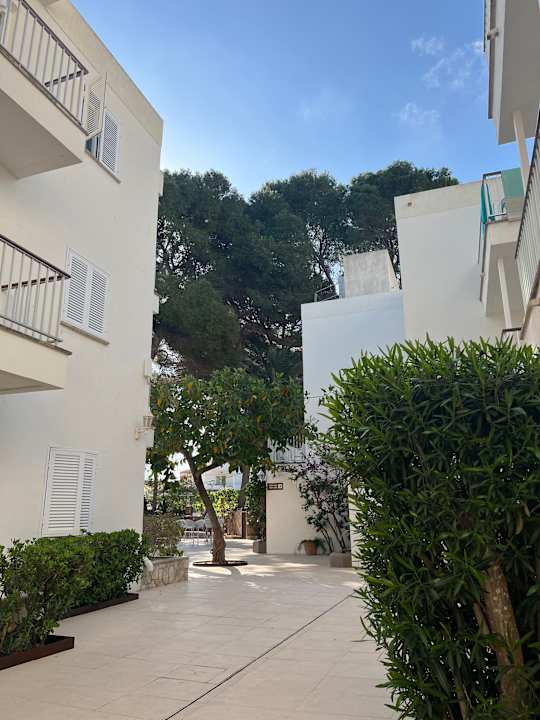 Gartenanlage Aparthotel Houm Plaza Son Rigo