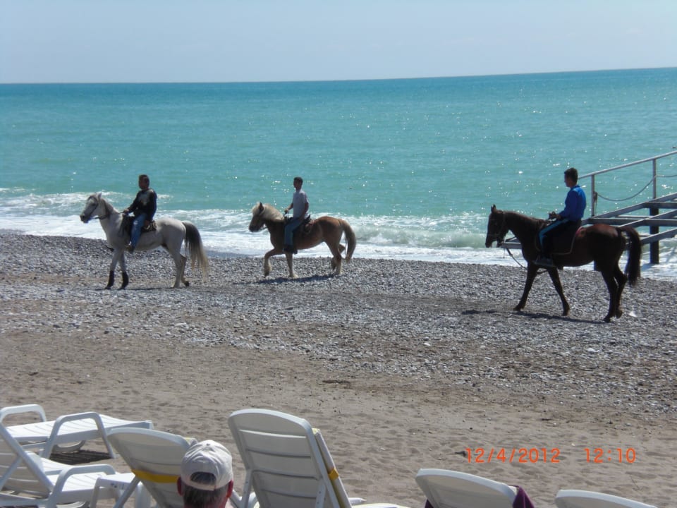 Strand Q Premium Resort