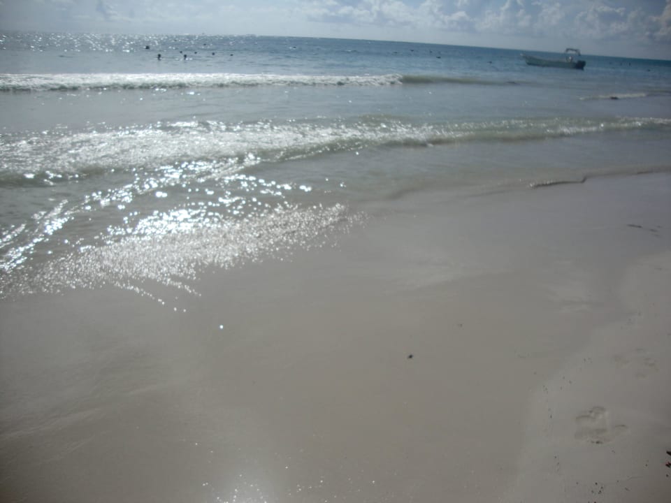 Hotel Catalonia Playa Maroma Catalonia Playa Maroma