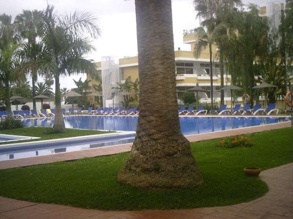 Pool vom Bonanza BLUESEA Complejo Puerto Resort (Canarife y Bonanza Palace))