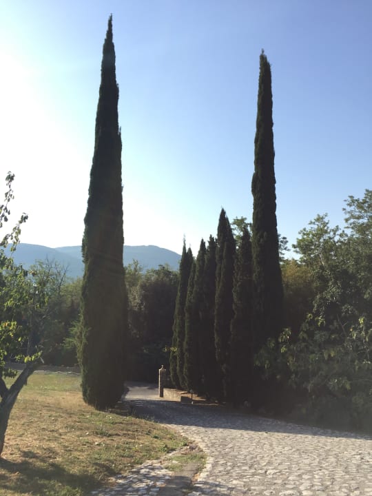 Gartenanlage Hotel Villa Rinascimento