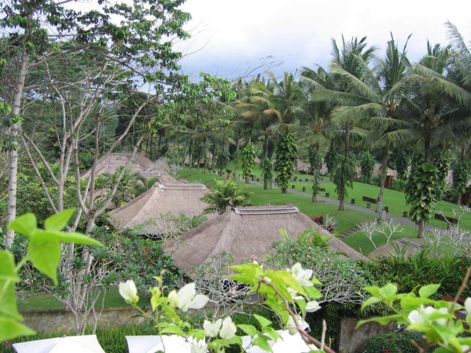 Ausblick während der Tea-Time Maya Ubud Resort & Spa Bali