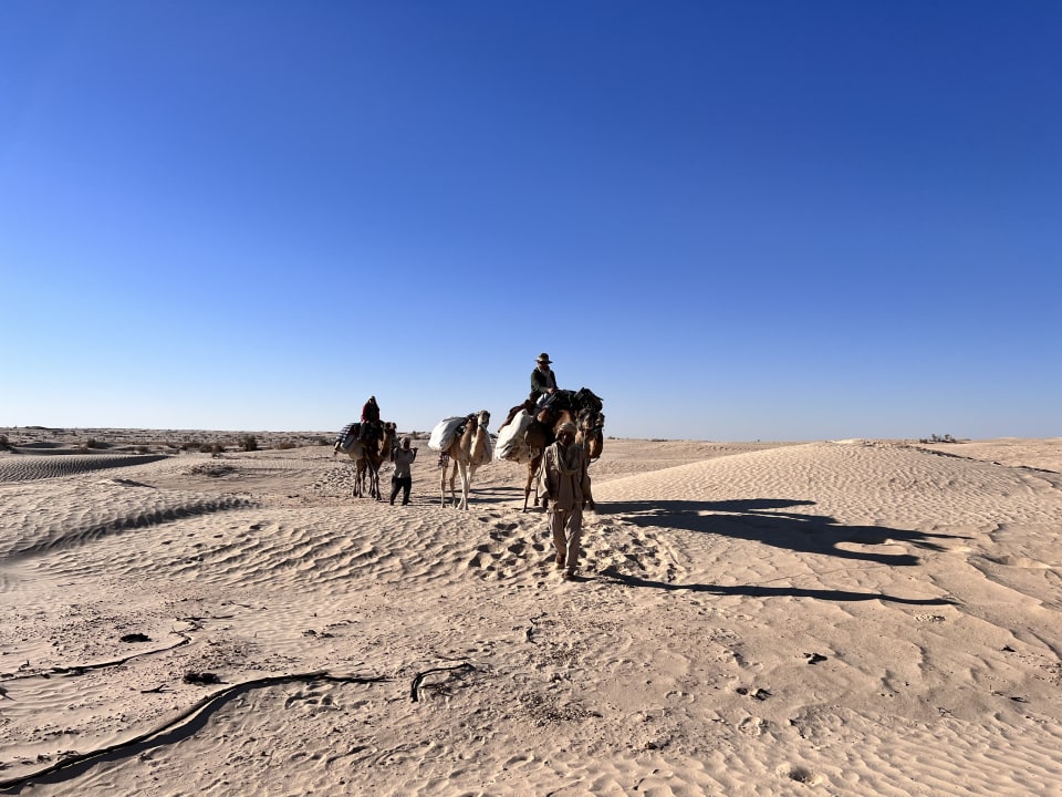 Sport & Freizeit Dunes Insolites Camp