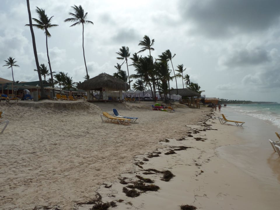Strand am Ocean Sand Golf Hotel/nach Verkaufshütte Ocean Blue & Sand