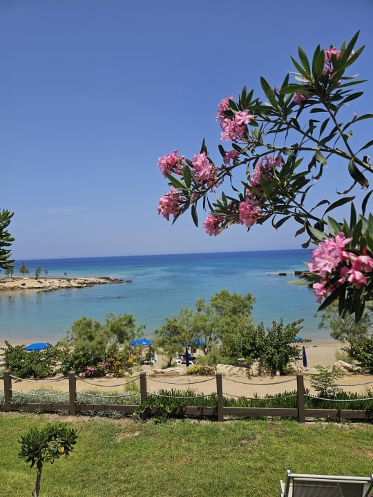 Strand Crystal Springs Beach Hotel