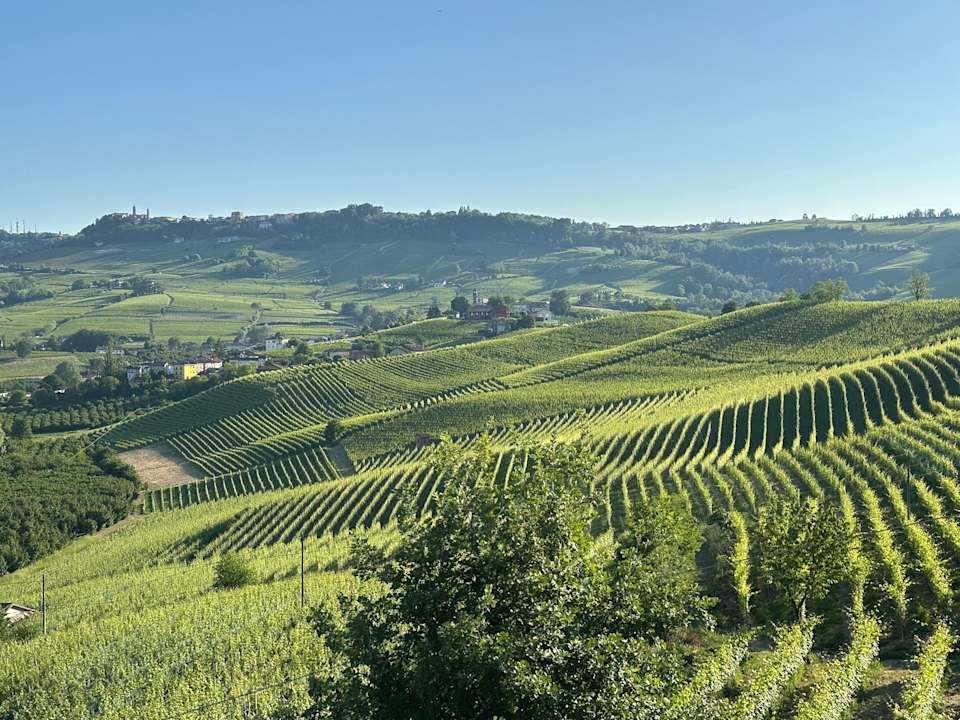 Ausblick Il GrecAle - Camere e Appartamenti