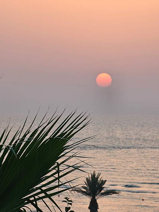 Ausblick The Cove Rotana Resort