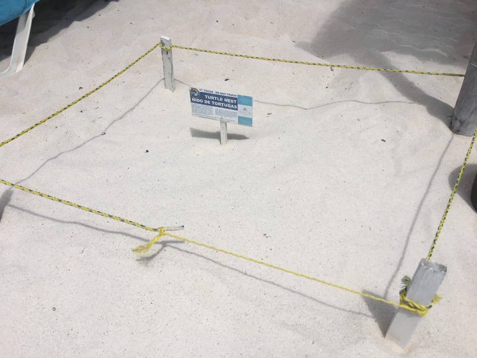 Sonstiges Akumal Bay Beach & Wellness Resort