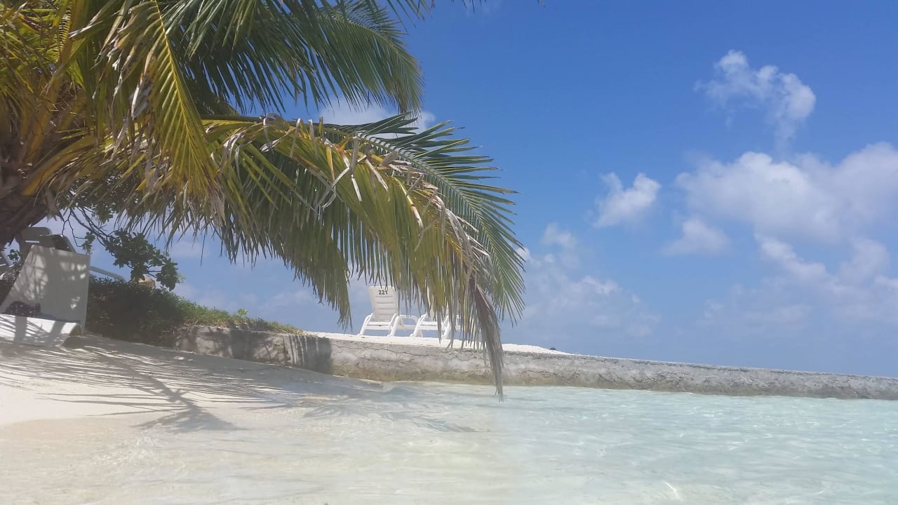 Sonne, Palmen  Strand und Meer Adaaran Select Hudhuran Fushi - Premium All Inclusive