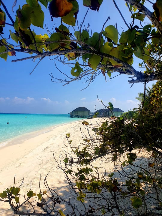 Außenansicht Summer Island Maldives