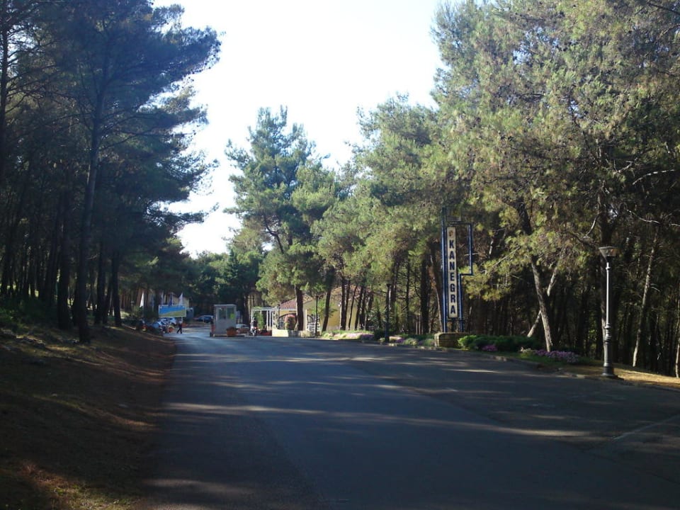 Zufahrt Kanegra Apartments Kanegra Plava Laguna