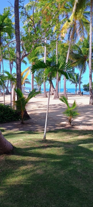 Strand Playabachata Hotel