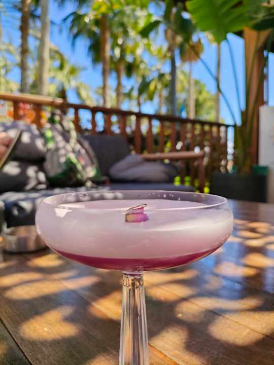 Gastro Arycanda Kirman Premium