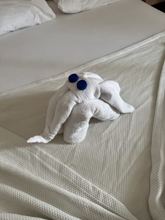 Zimmer Can Garden Resort