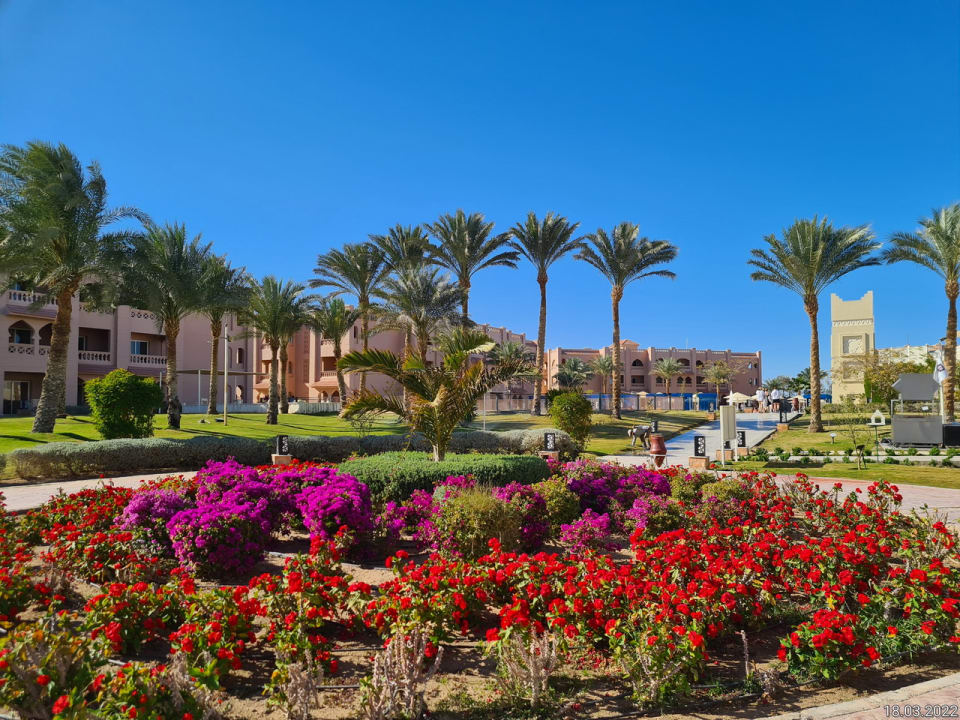 Außenansicht Pickalbatros Aqua Vista Resort - Hurghada