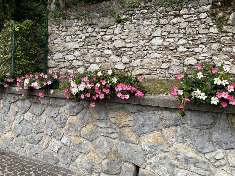 Gartenanlage Hotel Limone