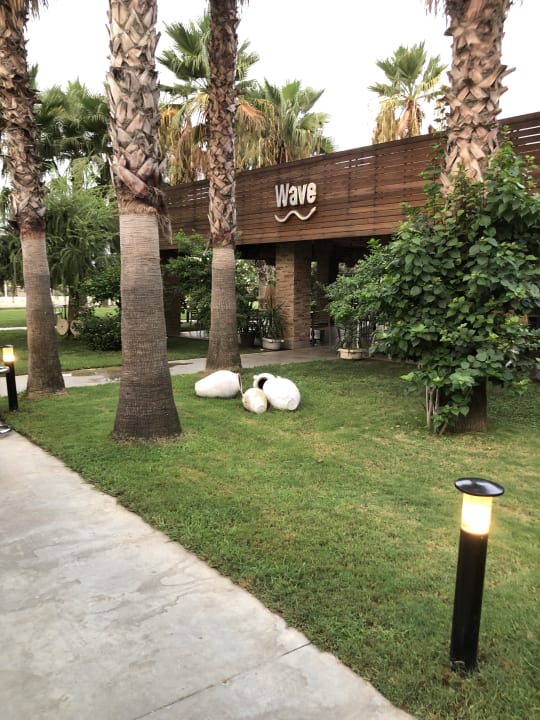 Gastro Hotel Royal Garden Beach