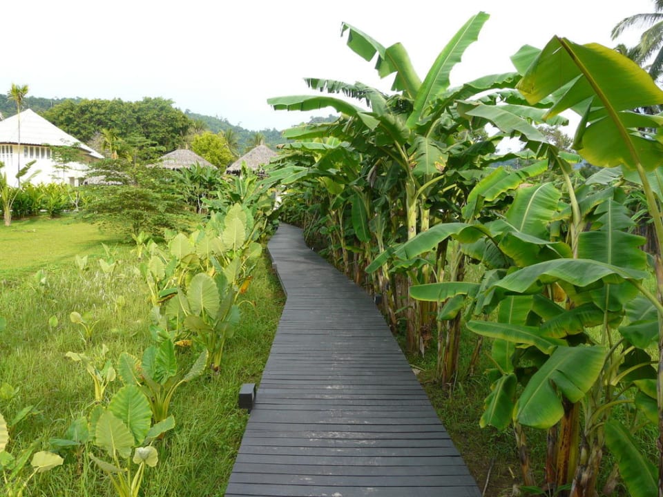 Weg zur Rezeption Bangsak Village