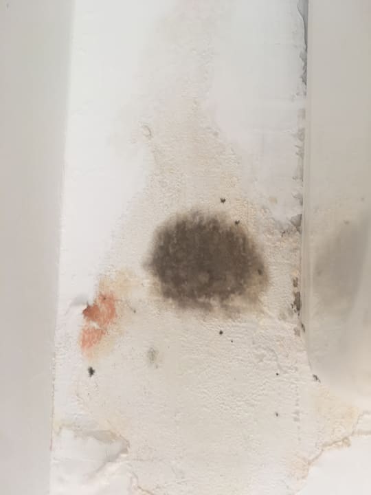 Zimmer Blue Diamond Alya