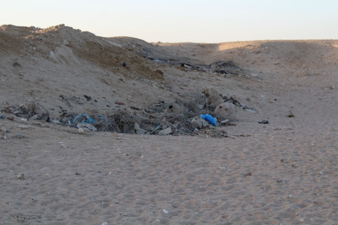 Strand Serenity Alpha Beach