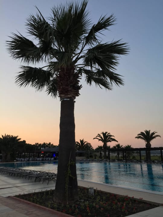 Pool Venosa Beach Resort & Spa