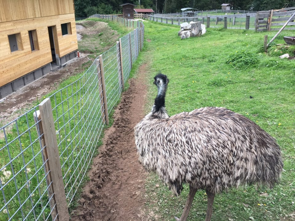Gartenanlage Hotel Chalets Grosslehen