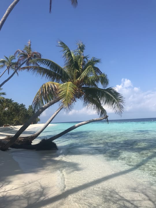 Strand Filitheyo Island Resort