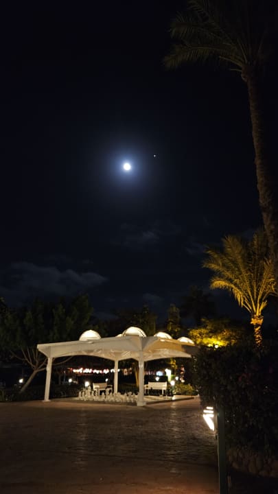 Gartenanlage Desert Rose