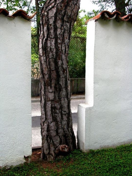 Beispiele naturschonender Bauweise Ulusoy Kemer Holiday Club