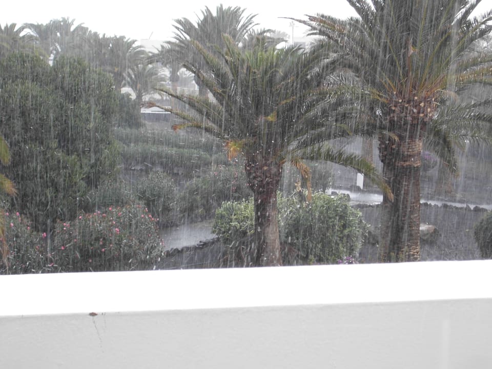 Temporale sui giardini Relaxia Olivina