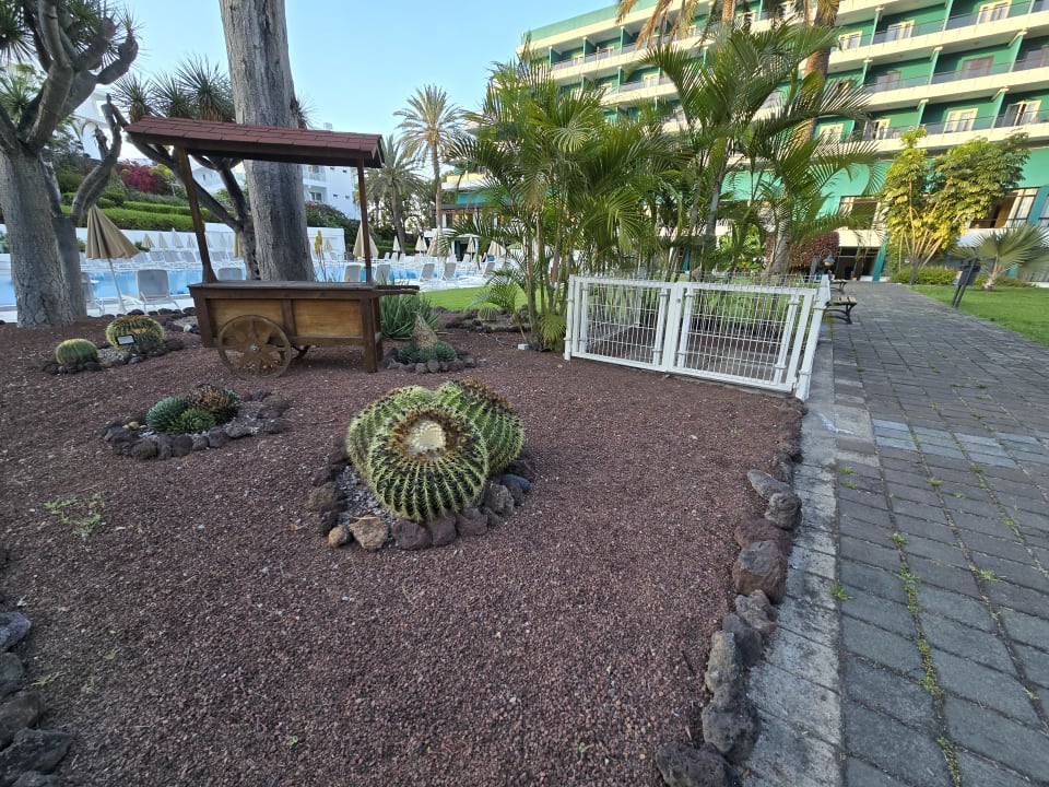 Gartenanlage TRH Taoro Garden