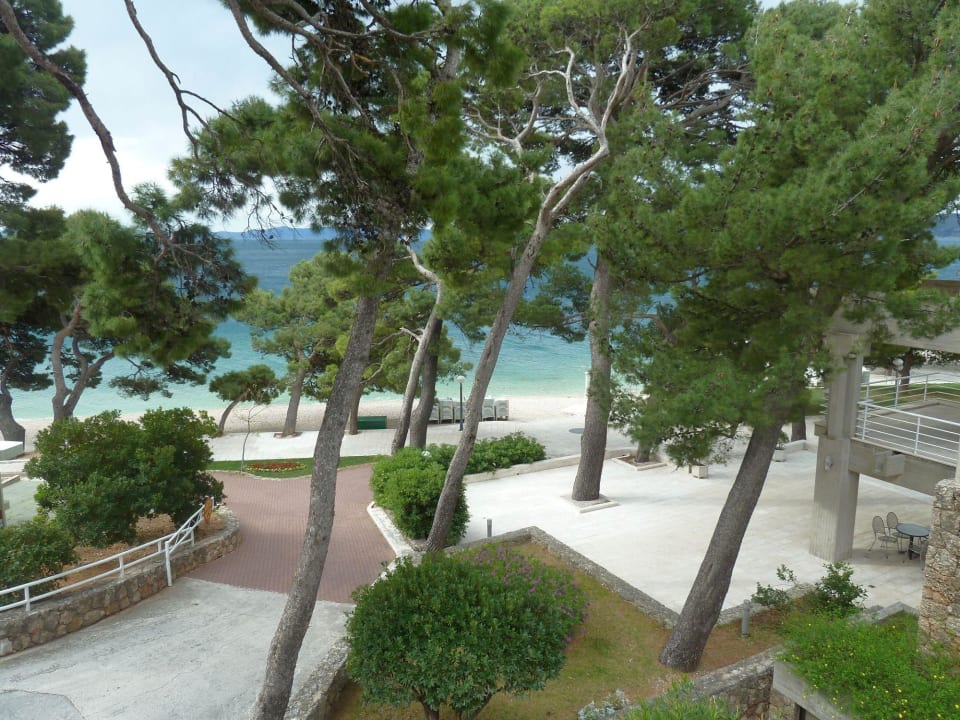 Blick vom Hotel auf den Strand Bluesun Hotel Soline