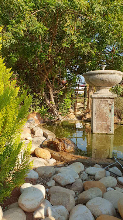 Gartenanlage Thylitshia Villa Country Guesthouse