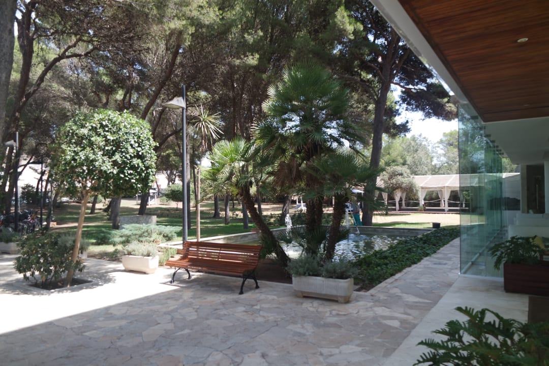 Gartenanlage Hotel Zafiro Alzinar Mar