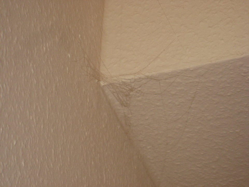 Spinnenweben in allen Ecken Hotel Am Stuttgarter Eck