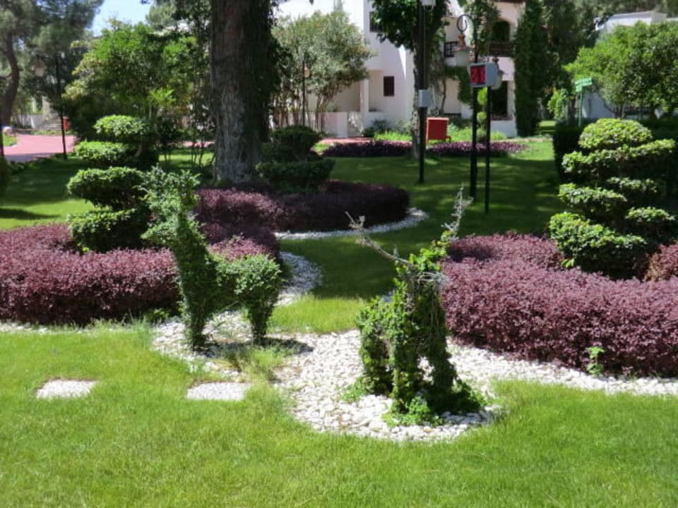 Garten Emelda Sun Club