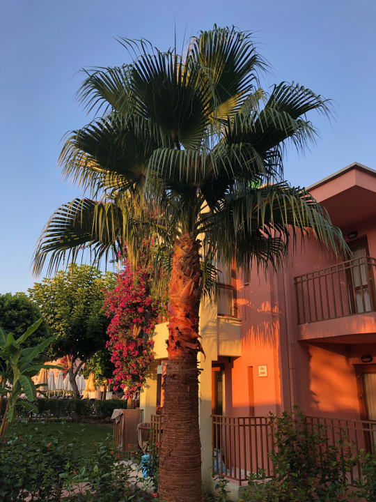 Gartenanlage VONRESORT Golden Beach