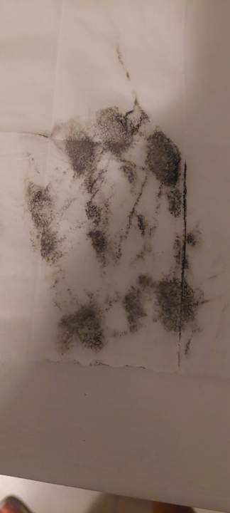 Zimmer Emotions By Hodelpa - Juan Dolio All Inclusive