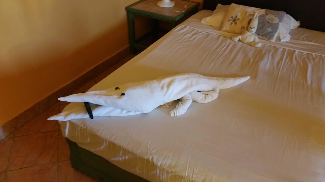 Zimmer Arabia Azur Resort